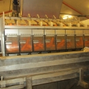 3844 Newtec 2009G Multi head weigher for carrots / potatoes