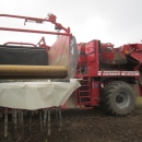 3862 Grimme SF150-60 UB XXL 2 row self propelled potato harvester with bunker