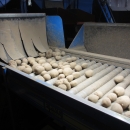 3875 EMVE Netzsortierer for potato/onion year 2009
