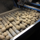 3875 EMVE Netzsortierer for potato/onion year 2009
