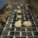 3875 EMVE Netzsortierer for potato/onion year 2009