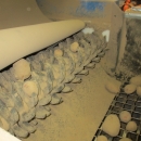 3875 EMVE Netzsortierer for potato/onion year 2009