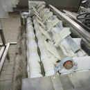 3961 Newtec Astro optical sorter grader