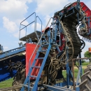 3967 Asa-Lift T255 2 row carrot harvester with elevato