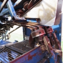 3967 Asa-Lift T255 2 row carrot harvester with elevato