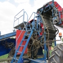 3967 Asa-Lift T255 2 row carrot harvester with elevato