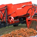 3970 DEWULF GBC carrot harvester with bunker