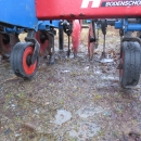 3981 Hatzenbichler row crop cultivator 9 row