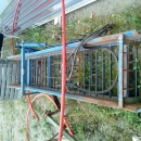 3105 ASA-LIFT cabbage harvester