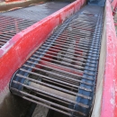 4017 Grimme SE 75-40 potato harvester