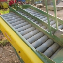 4062 Bording potato grader with bunker