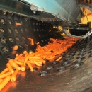 4067 Comaf Sammo small piece grader for carrots etc