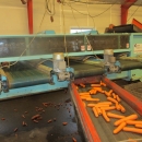 4067 Comaf Sammo small piece grader for carrots etc