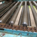 4068 Comaf Sammo diameter grader for carrots and other root vegetables