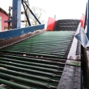 4073 Asa-Lift carrot harvester T-120B with bunker