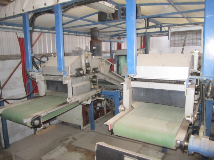3218 ASA-LIFT leek harvester 2 row for industry