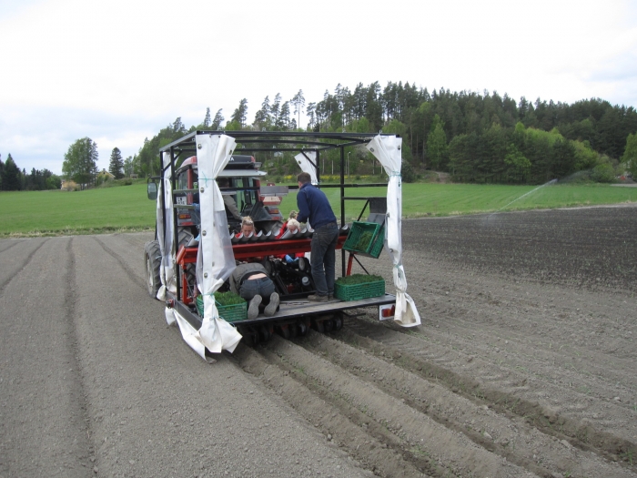 3077 Gregoire Besson Cemag leek planter 3 row