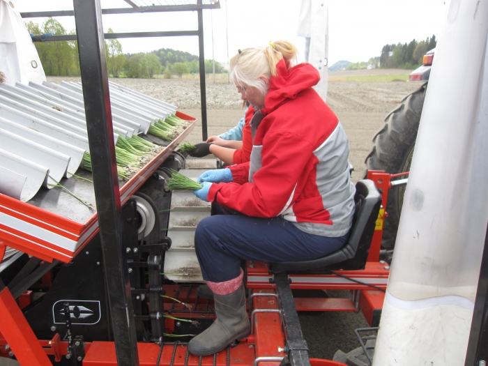 3077 Gregoire Besson Cemag leek planter 3 row