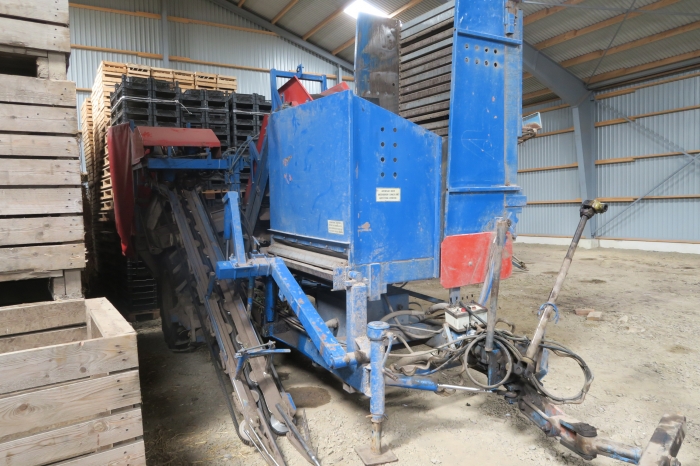 4667 Asa-Lift T-100 carrot harvester with bunker