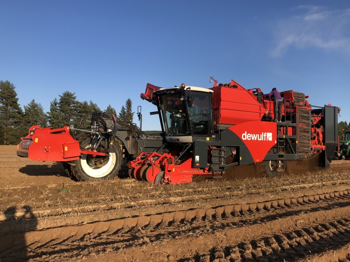 4702 Dewulf RQA3060 potato harvester selfpropelled