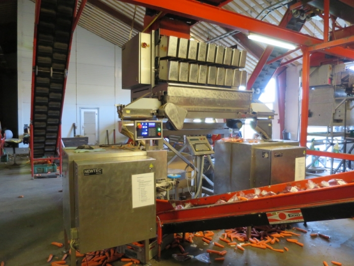 4768 Newtec 3009 weigher with bagging line for carrots