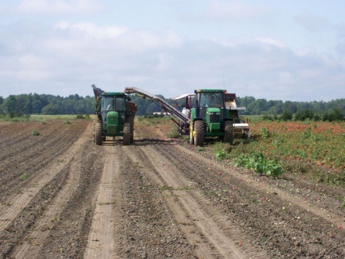 3186 PIK RITE tomato harvester also cucumber