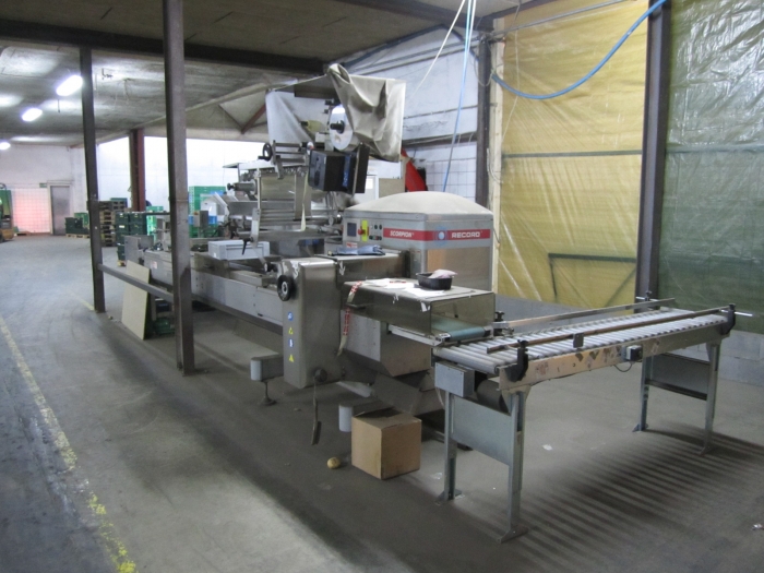 3167 Record flow pack for trays  with NEWTEC multi weigher