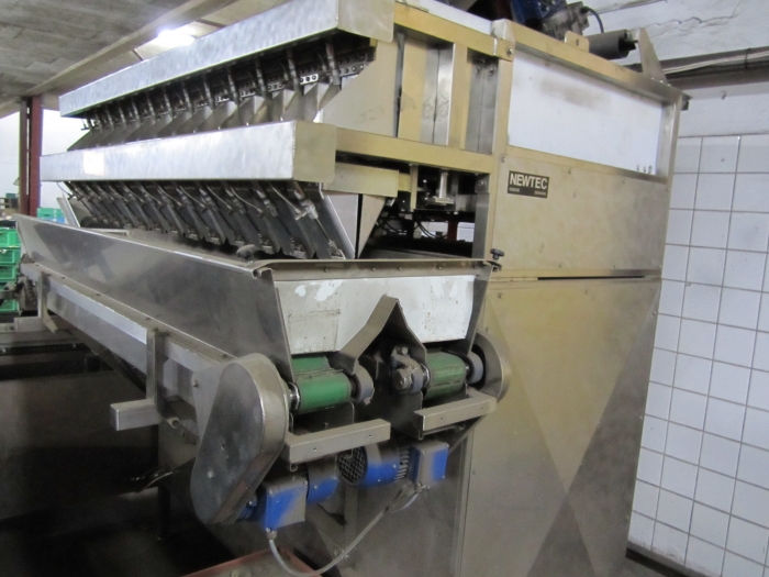 3167 Record flow pack for trays  with NEWTEC multi weigher