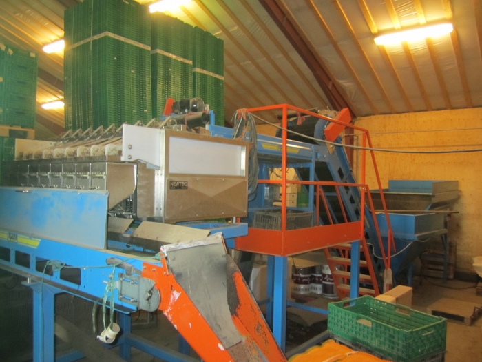 3370 Newtec 2009G +Gillenkirch+EMVE weigher and pack