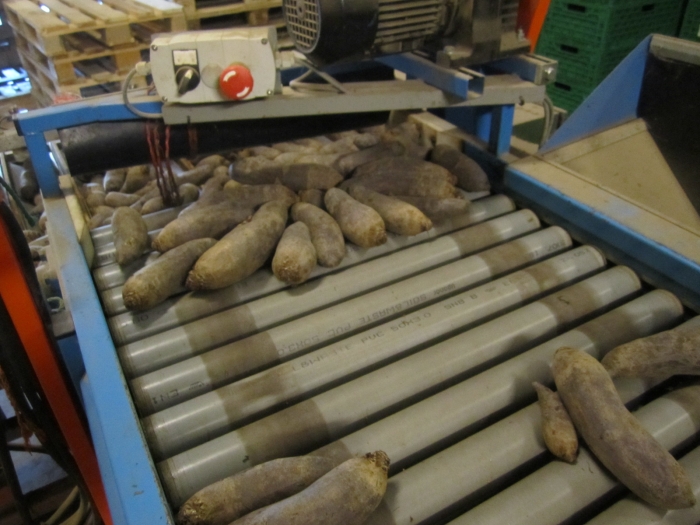 3370 Gillenkirch+Newtec 2009G +EMVE Wiege und Verpackungslinie