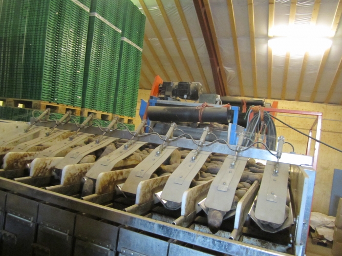3370 Gillenkirch+Newtec 2009G +EMVE Wiege und Verpackungslinie