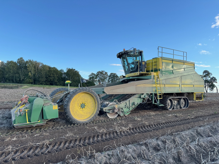 6202 Ploeger potato harvester 4 row with elevator