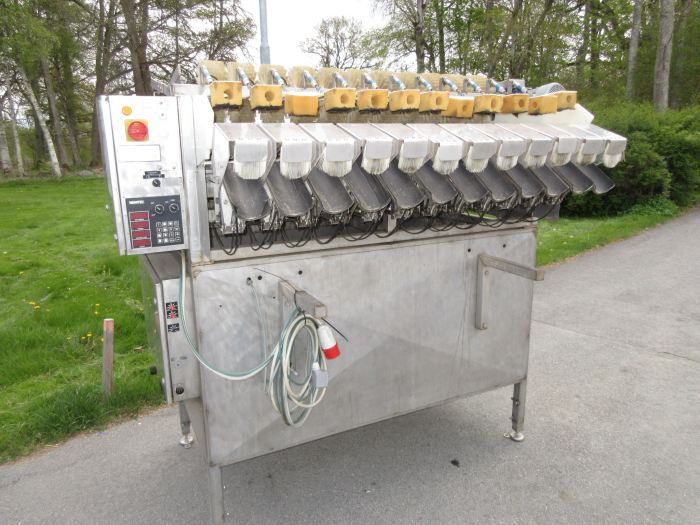 6236 Newtec + Gillenkirch packaging line for apple in plastic bags