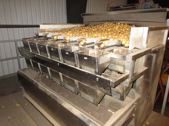 6300 Newtec 3013XL weigher with Jasa and Ilapak vertical baggers