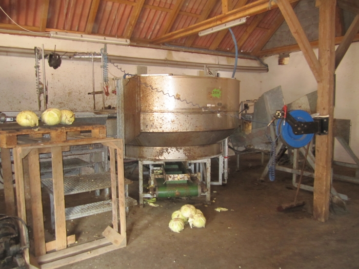 3462 Cabbage cleaning line complete