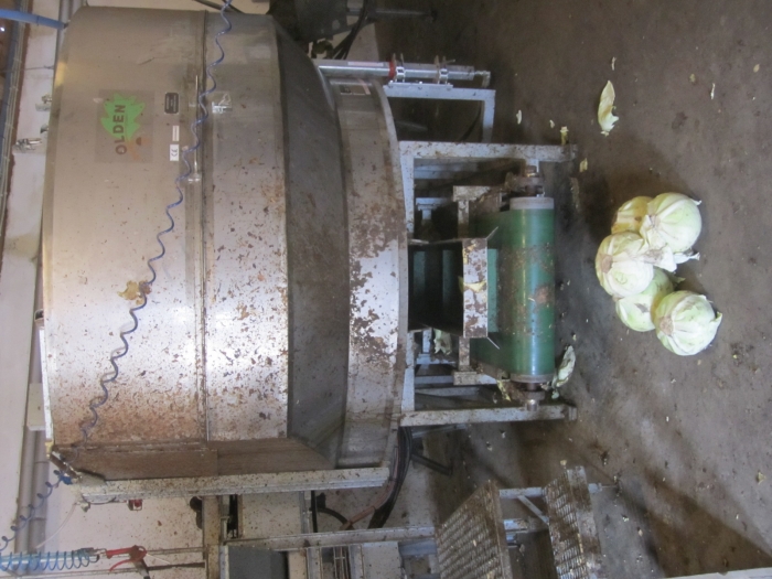 3462 Cabbage cleaning line complete