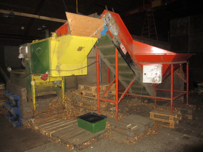 3703 EKKO / Olden line for onion