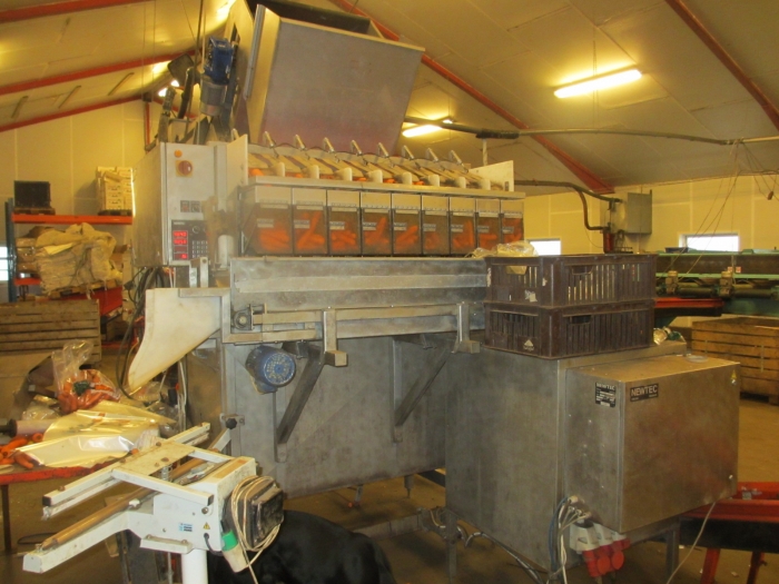 3844 Newtec 2009G Multi head weigher for carrots / potatoes