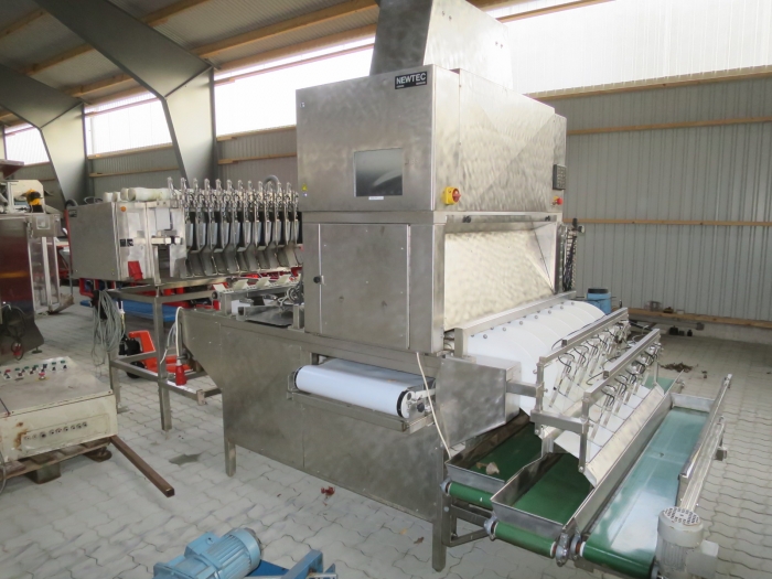 3961 Newtec Astro optical sorter grader