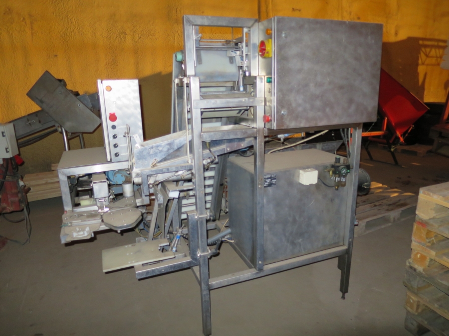 4124 Newtec G30 Verpackungsmaschine für Möhren