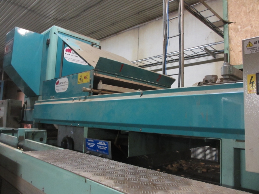 4203 / 4544 Sammo optical grader for apple, potatoes etc