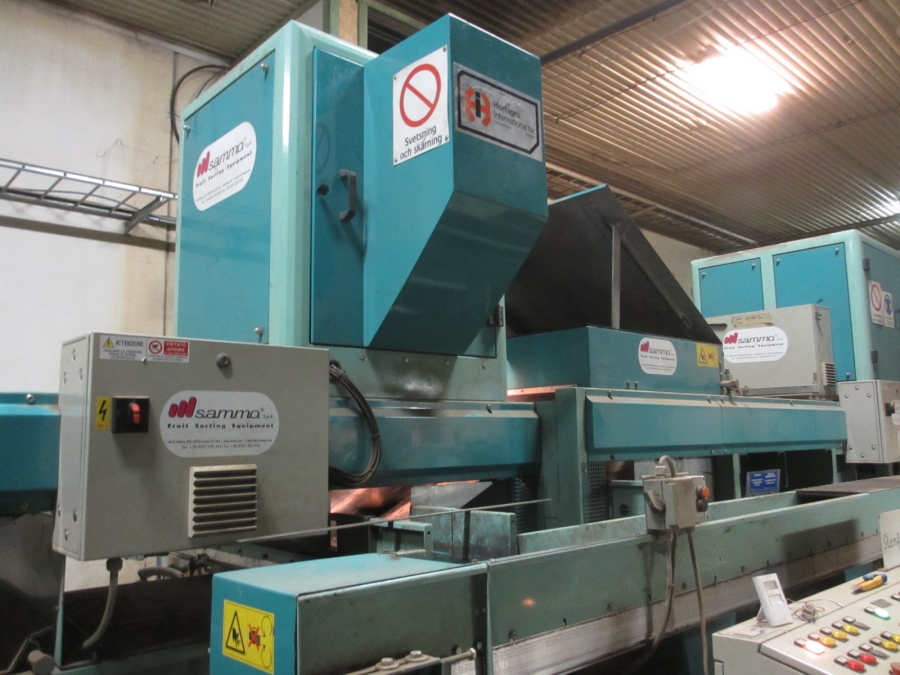 4203 / 4544 Sammo optical grader for apple, potatoes etc