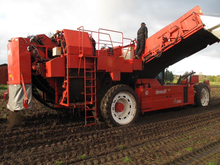 4290 DEWULF RQ3060 Kartoffelroder