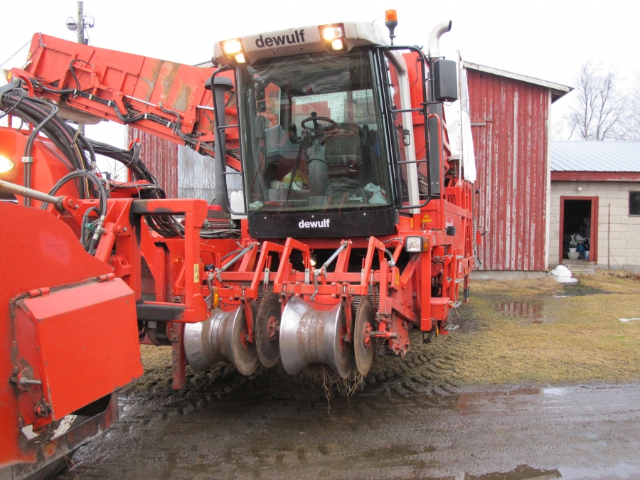 4290 DEWULF RQ3060 Kartoffelroder