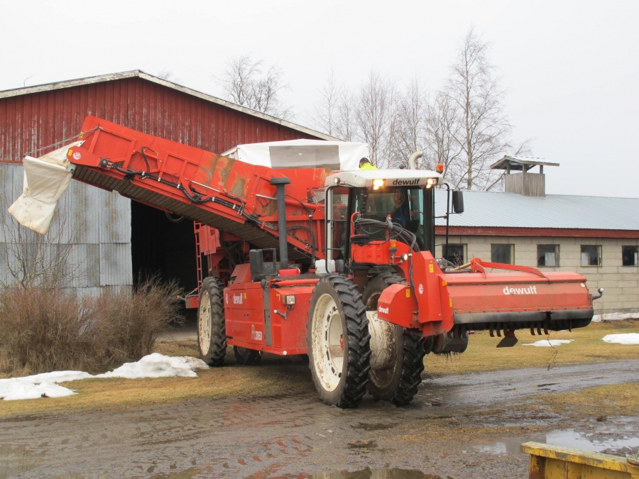 4290 DEWULF RQ3060 Kartoffelroder
