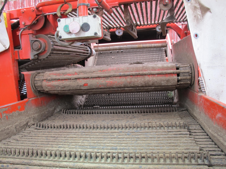 4290 DEWULF RQ3060 Kartoffelroder