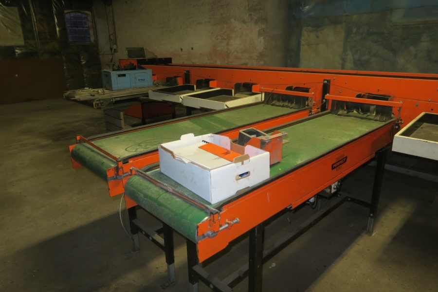 4387 Perfect apple grading line
