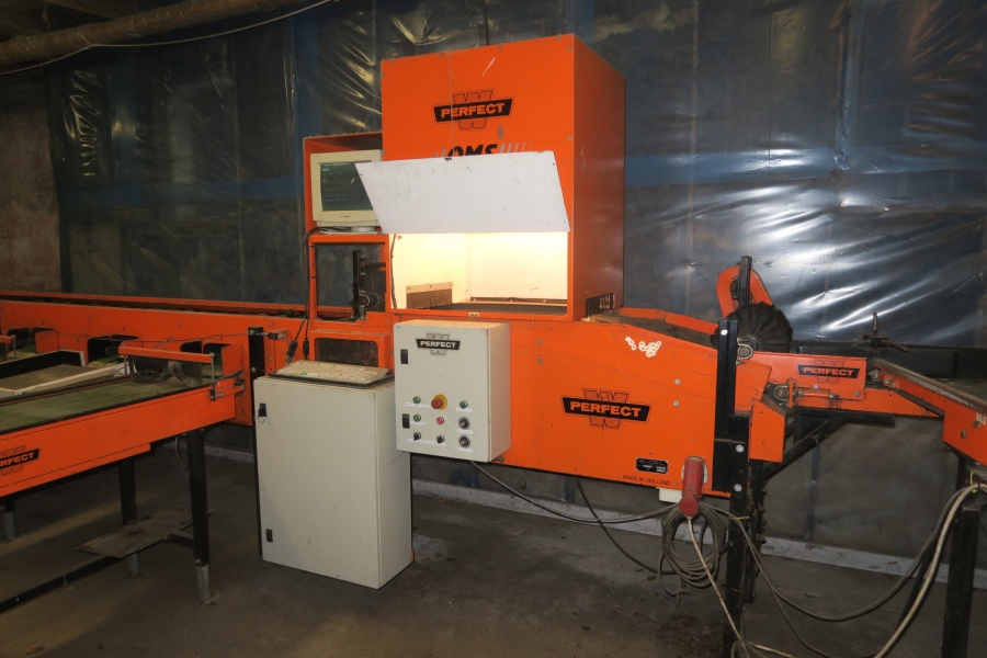 4387 Perfect apple grading line