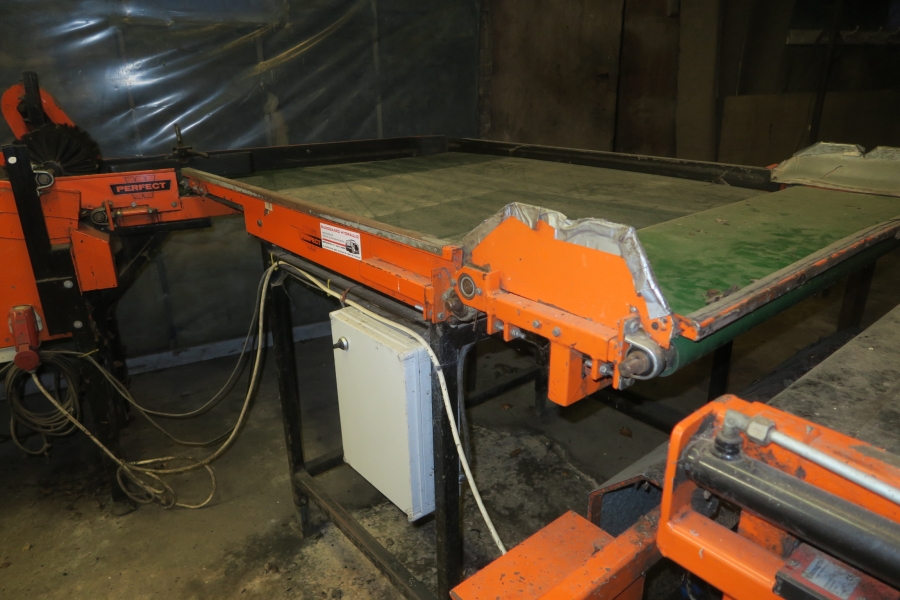 4387 Perfect apple grading line