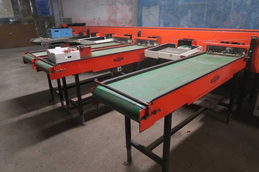 4387 Perfect apple grading line